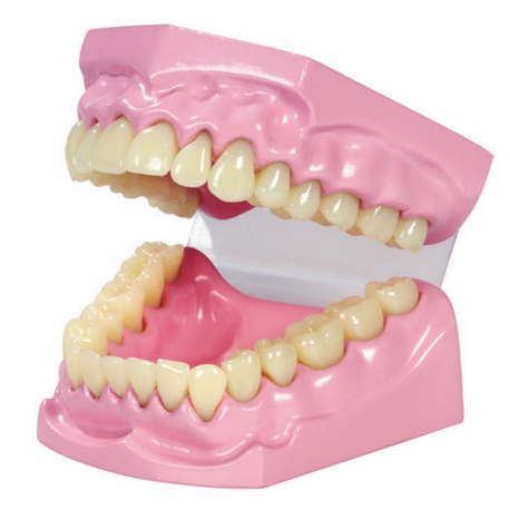 Stampo dentale