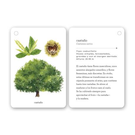 Llavero de tarjetas - Árboles  Animales y Naturaleza