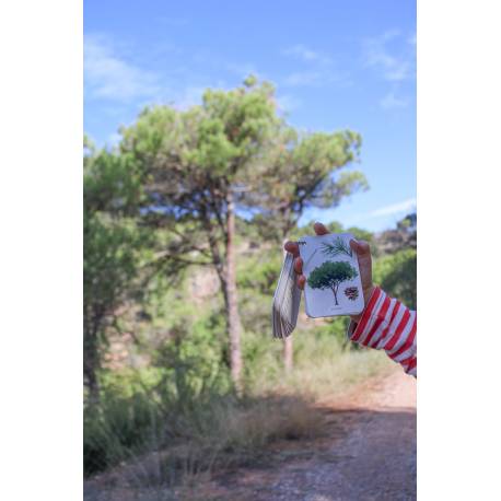 Llavero - Fíjate: Árboles