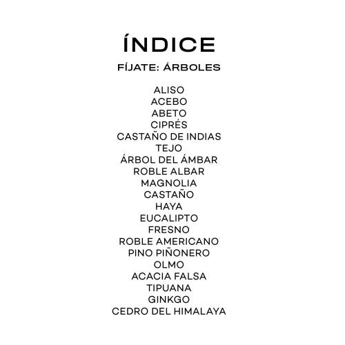 Llavero - Fíjate: Árboles