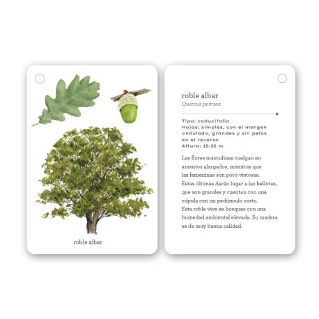 Llavero de tarjetas - Árboles  Animales y Naturaleza