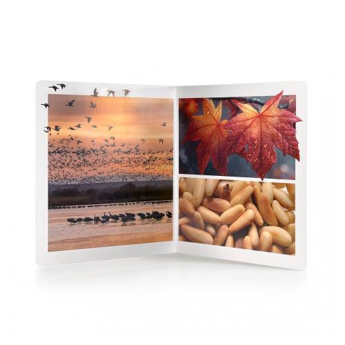 Libro grande - Otoño Nowordbooks Nowordbooks