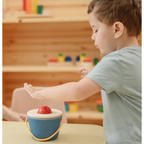 Cubo empuja y cae Plantoys Plan Toys De 1 a 3 años