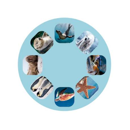 Linterna Proyector Animales del Mar 2