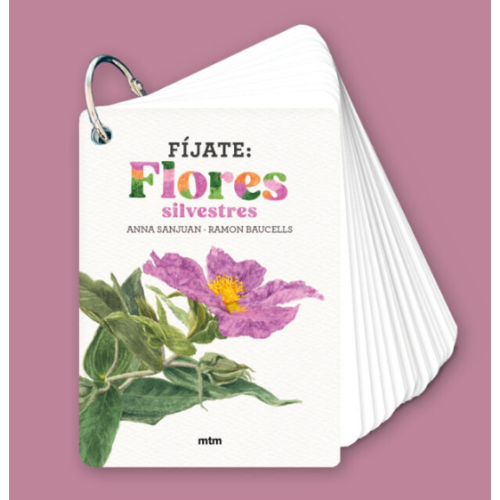 Da vedere | Fiori selvatici