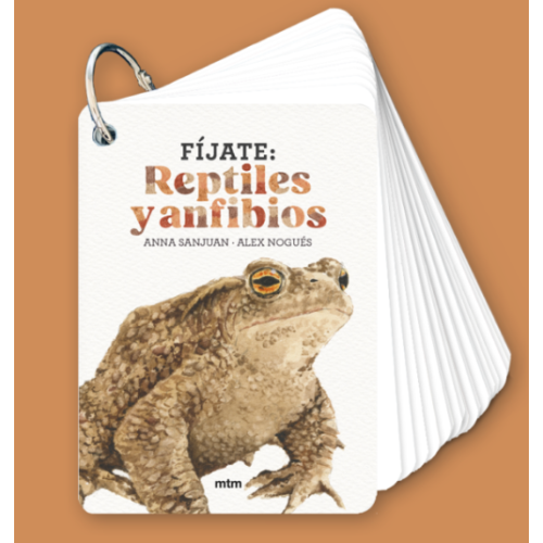 Fíjate | Reptiles y Anfibios  Animales y Naturaleza