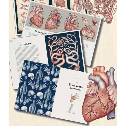 Anatomicum  Libros con Imágenes Reales