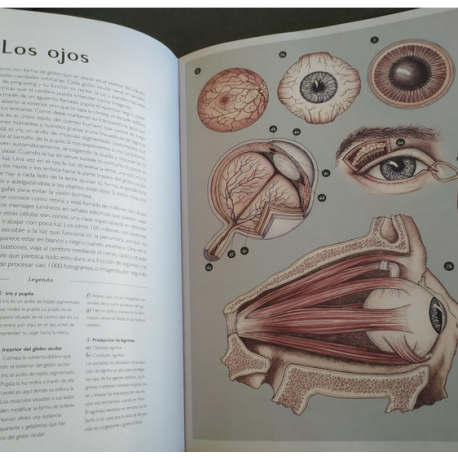 Anatomicum  Libros con Imágenes Reales