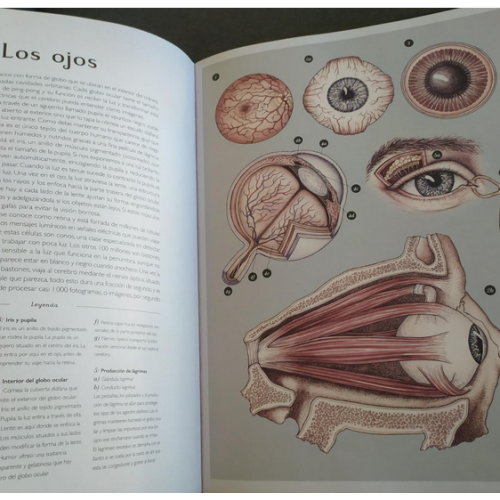 Anatomicum  Libros con Imágenes Reales