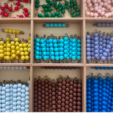 Scatola delle perle Montessori per la...