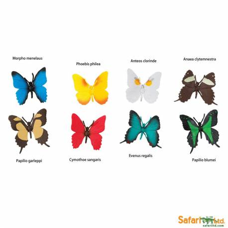 Farfalle 2