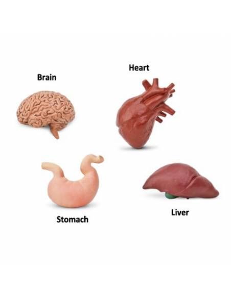 Roma antigua - Super toob