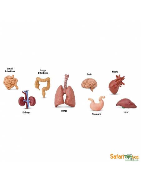 Roma antigua - Super toob