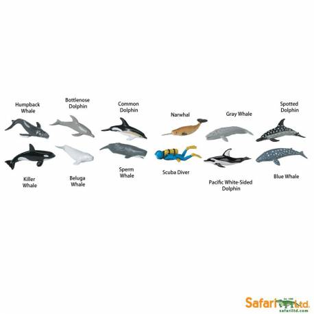 Roma antigua - Super toob