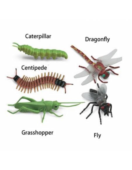 Roma antigua - Super toob