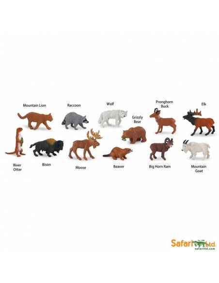 Roma antigua - Super toob