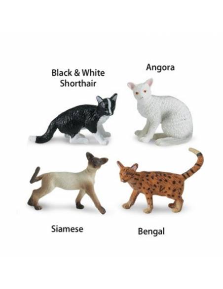 Roma antigua - Super toob