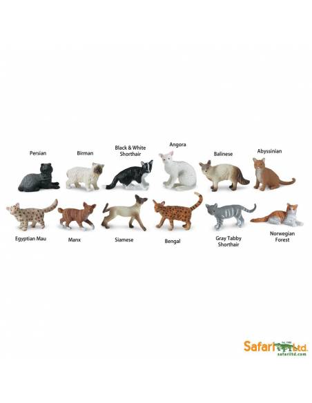 Roma antigua - Super toob