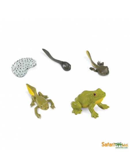 Roma antigua - Super toob