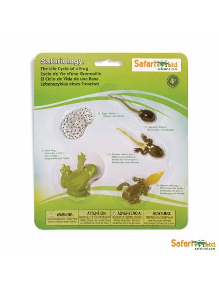 Roma antigua - Super toob