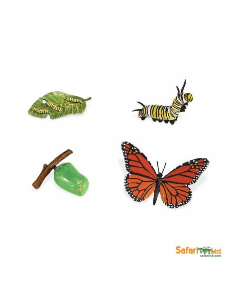 Ciclo de vida mariposa monarca Safari LTD Ciclos de la vida
