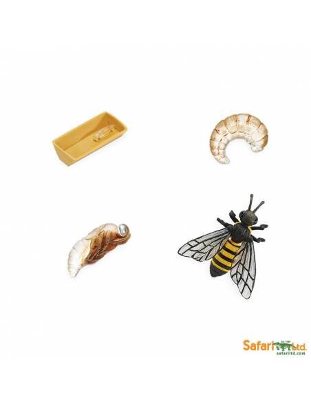 Roma antigua - Super toob