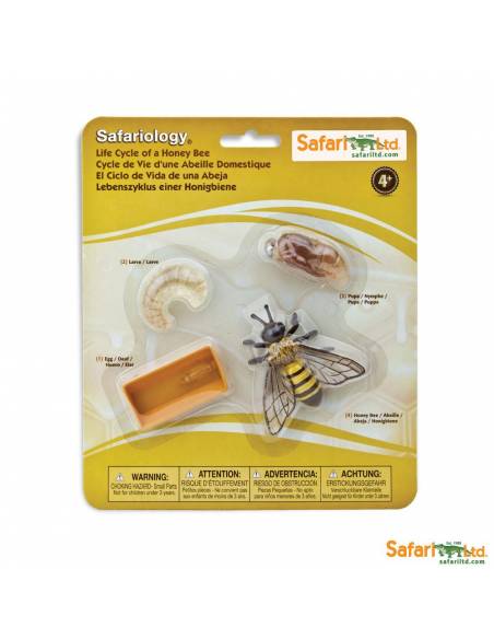 Roma antigua - Super toob