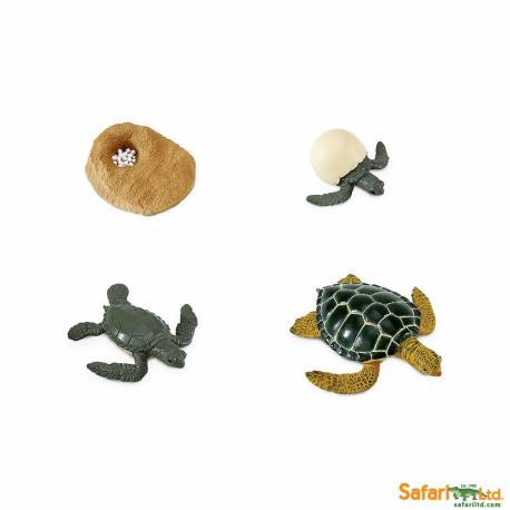 Roma antigua - Super toob