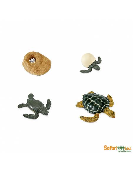 Ciclo de vida de la tortuga de mar Safari LTD Ciclos de la vida