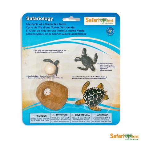 Roma antigua - Super toob