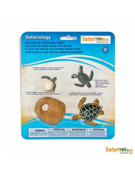 Ciclo de vida de la tortuga de mar Safari LTD Ciclos de la vida