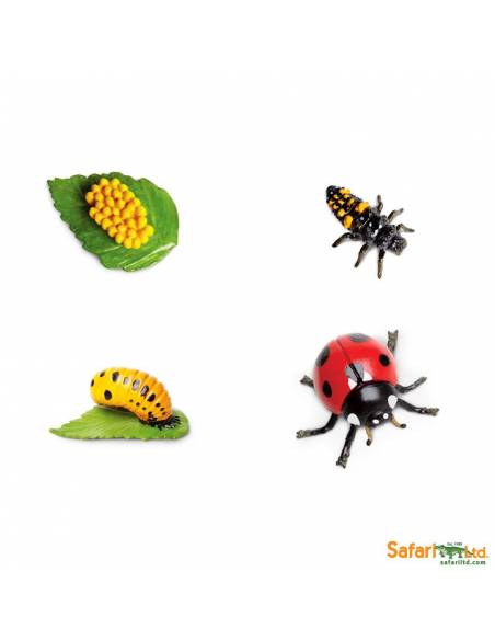 Roma antigua - Super toob