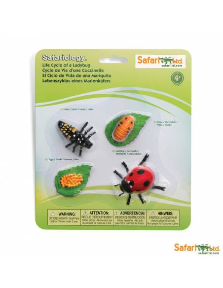 Roma antigua - Super toob