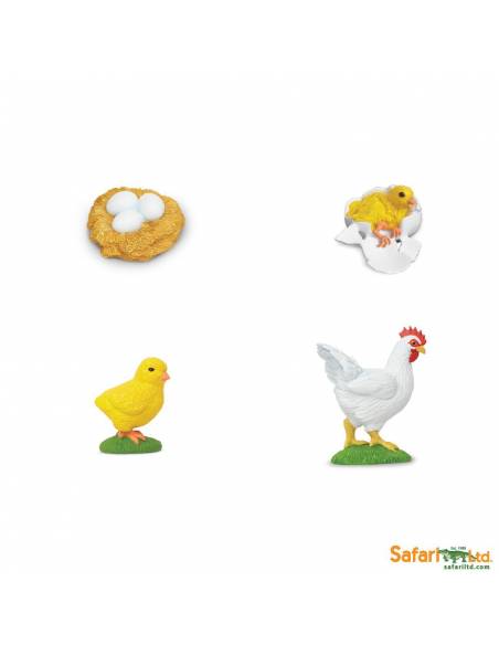 Roma antigua - Super toob