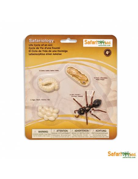 Roma antigua - Super toob