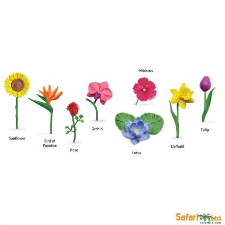 Roma antigua - Super toob