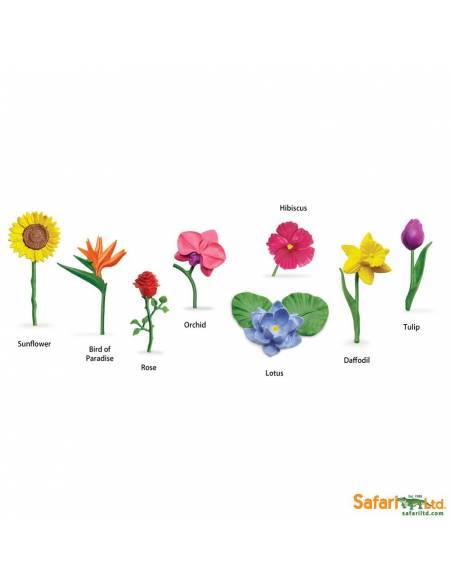 Flores Safari LTD Toobs Conoce el mundo