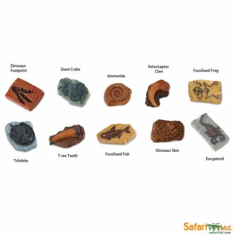 Roma antigua - Super toob