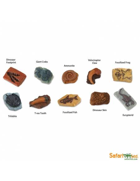 Roma antigua - Super toob