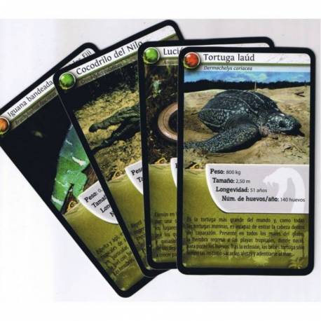 Bioviva - Cartas animales Marinos 2