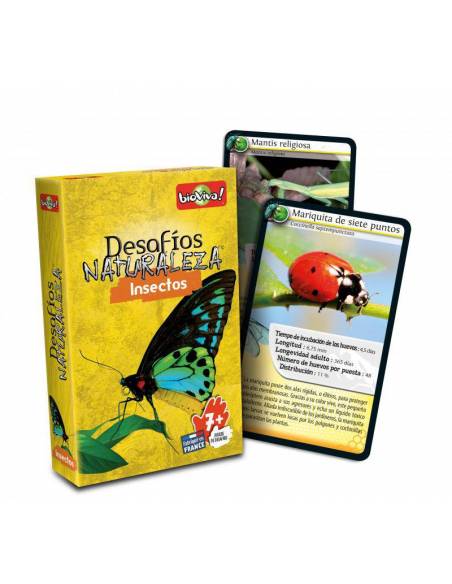 Bioviva - Cartas insectos Bioviva Cartas Bioviva