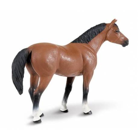 Quarter Horse Gelding