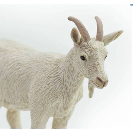 Ziege (nanny goats) 2