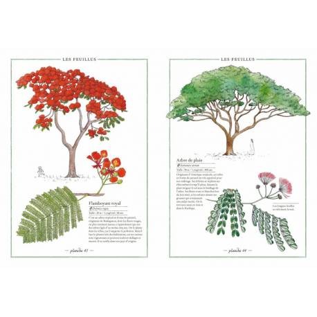 Inventario de los árboles