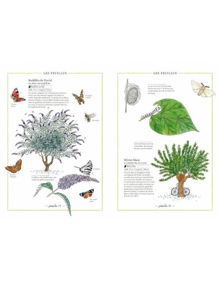 Inventario de los árboles