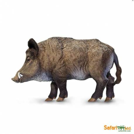 Wildschwein 2
