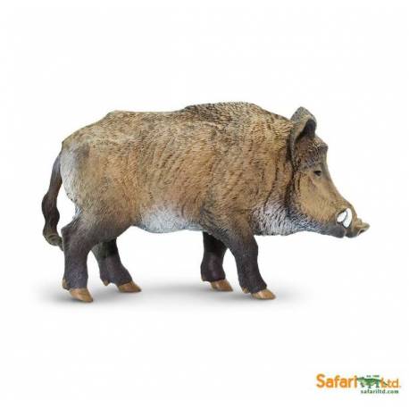 Jabalí  Animales Grandes