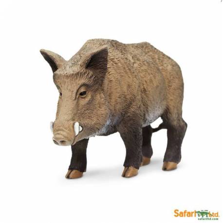 Jabalí  Animales Grandes