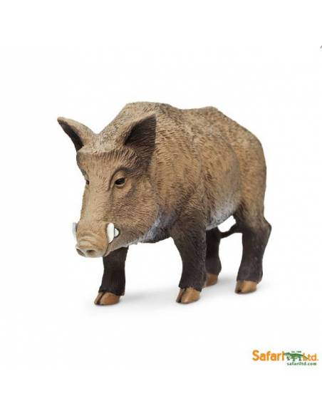Jabalí  Animales Grandes