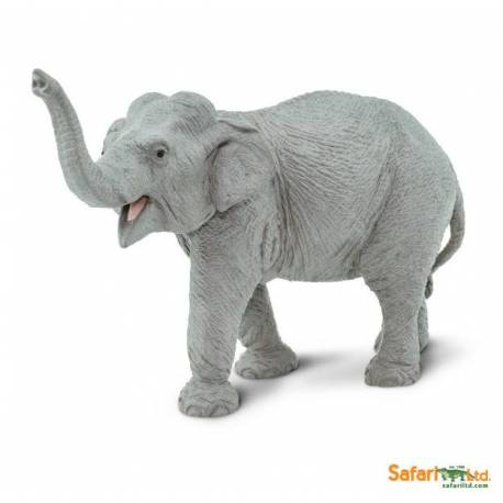 Asiatischeer Elefant